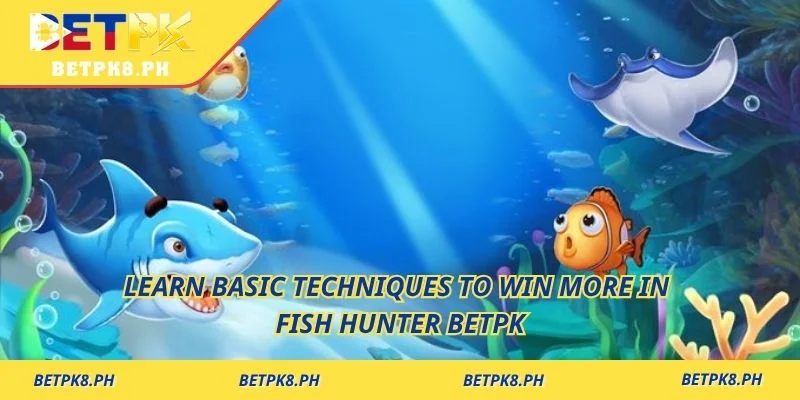 Learn basic techniques to win more in Fish Hunter Betpk