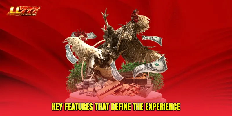 Key Features That Define the Experience