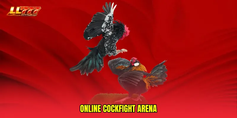 Online cockfight arena